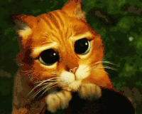 sad saint GIF