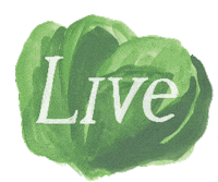Food Delivery Veg Box Sticker by Riverford Organic Farmers