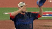 Hands Up Baseball GIF by Toronto Blue Jays