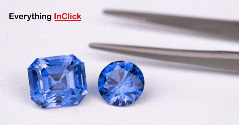 sarahcollins1 giphygifmaker giphyattribution GIF