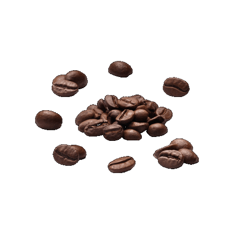 aboutcoffee giphygifmaker coffee beans barista Sticker
