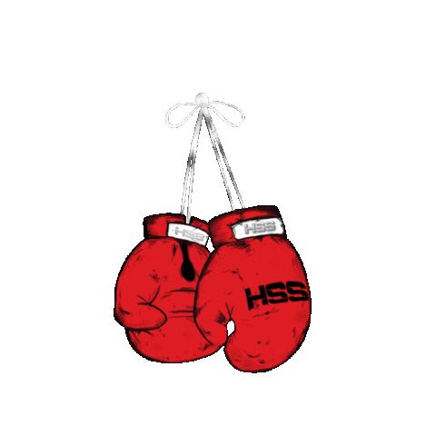 Boxing Holywings Sticker by HW Group