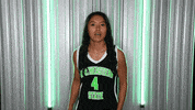 Basketball GIF by RiverHawk Sports