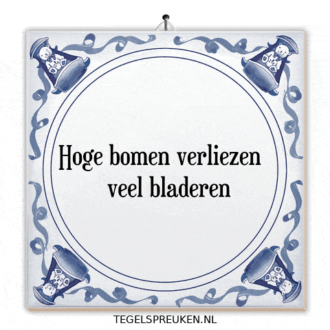 Humor Nl GIF by Tegelspreuken.nl
