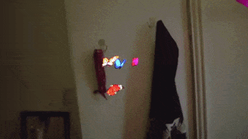 playboi carti magnolia GIF by Interscope Records