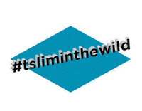 Type 1 Insulin Sticker by Tandem Diabetes