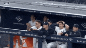 Jomboy  GIF