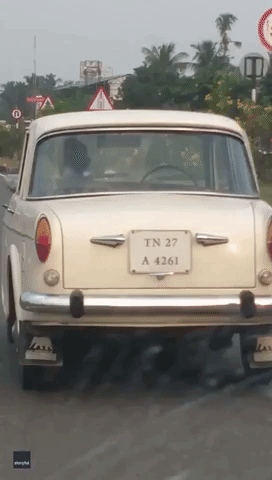 Indian Motorist Baffled by Car Driven From Passenger Seat