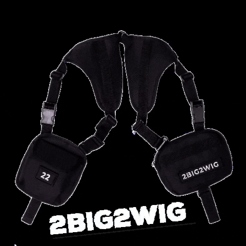 Bag Streetwear GIF by 2BIG2WIG