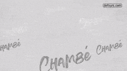 Adds GIF by Team Chambé