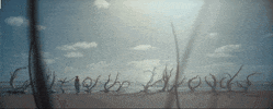 music video GIF