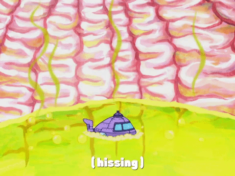season 4 GIF by SpongeBob SquarePants