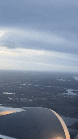 New York Travel GIF