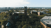 good morning GIF by University of Florida
