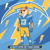 Shiba Inu Football GIF by Doge Pound