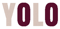 You Only Live Once Yolo Sticker by Jazze Jervis
