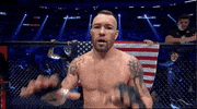 Mixed Martial Arts Sport GIF by UFC