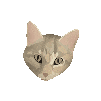 nelevandeweyenberg cat handmade chat kat Sticker