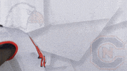 Carson Newman Football GIF by Carson-Newman Athletics