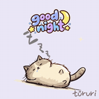 sleepy buddy - good night sleepy cat