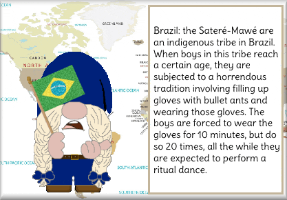 Brazil GIF