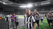 botafogo de futebol e regatas GIF by Botafogo