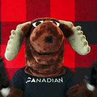 Canadian GIF by choose.ca