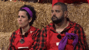Euskara Euskalherria GIF by EiTB