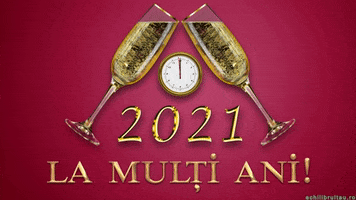 New Year Celebration GIF by echilibrultau