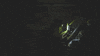 Mountain Bike Biking GIF by Santa Cruz Bicycles