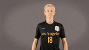 Division Ii Soccer GIF by Cal State LA Golden Eagles