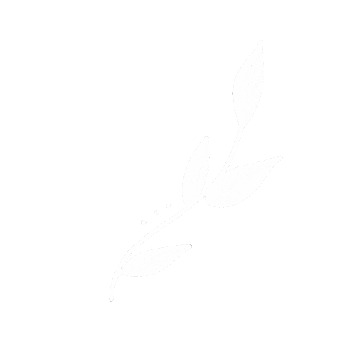 Winter Plants Sticker