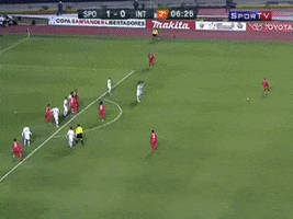 Dale Libertadores GIF by Sport Club Internacional