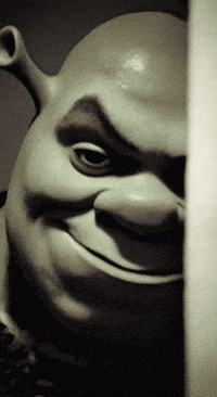 ailllliao smile look dark shrek GIF
