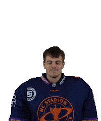 Sport Hokej Sticker by HCSTADION