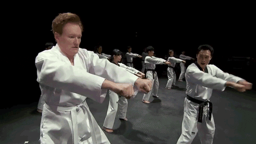 conan obrien taekwondo GIF by Team Coco
