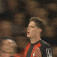 Premier League Hug GIF by AFC Bournemouth