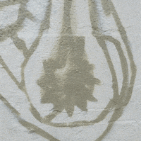 ostapartist artist painting street gray GIF