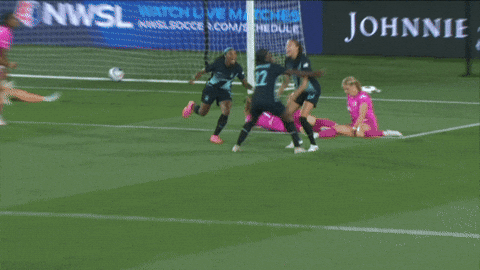 Celebrate New York GIF by National Women's Soccer League