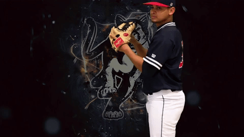 GIF by Columbus State University Athletics