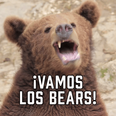ยกVamos Los Bears!