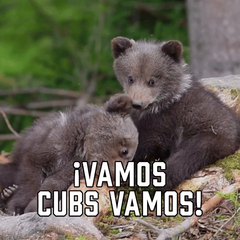 ยกVamos Cubs Vamos!