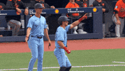 High Five Blue Jays GIF by Toronto Blue Jays