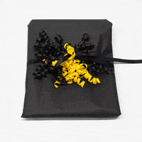 uiowa iowa hawkeyes university of iowa uiowa GIF