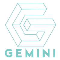 F45Gemini Sticker by F45TrainingSunnylea