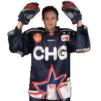 Pray Ice Hockey Sticker by Ravensburg Towerstars