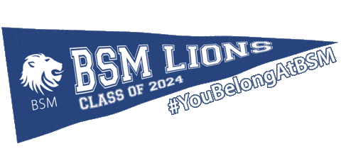 Britishschoolmanila Sticker by BSM