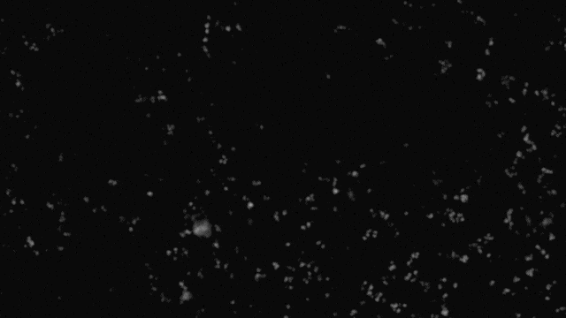 talksfromthecrypt giphyupload halloween horror podcast GIF