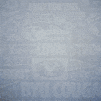 Brigham Young Byu Baseball GIF by BYU Cougars