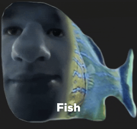 Dro_pa giphyattribution fish giphycreatortest leo77tv GIF